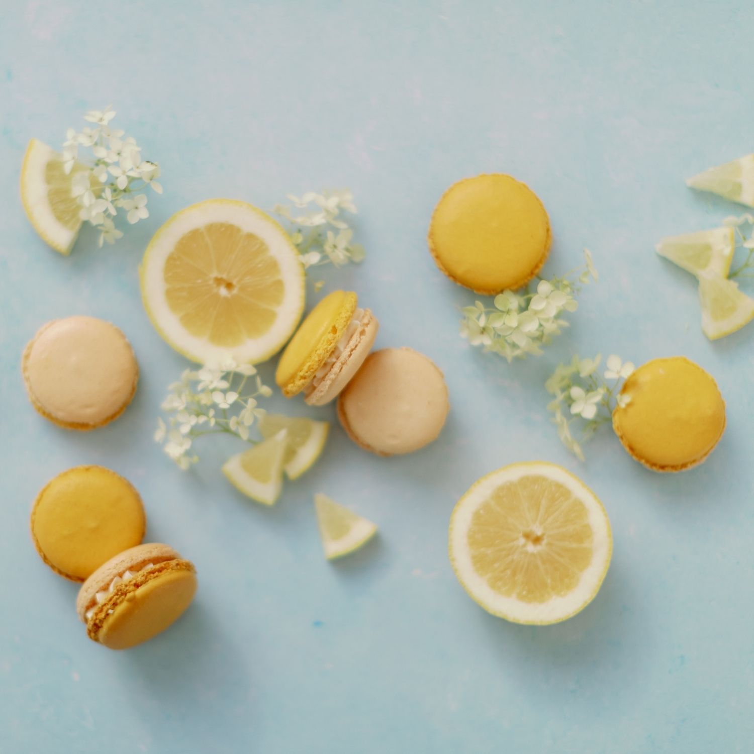 Lemon & Elderflower Macarons by Lindsay Pemberton Cakes & Patisserie