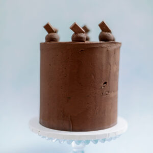 Chocolate Fudge Simply Tasty Cake