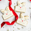 Personalised Rudolf Cookie